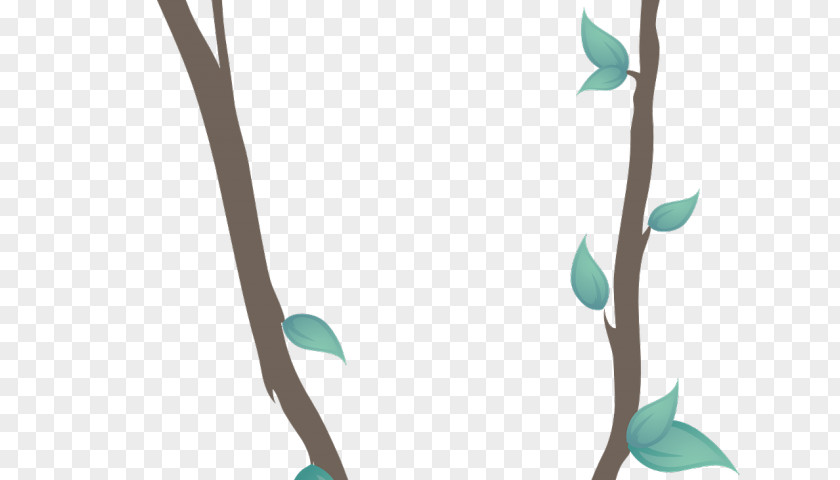 Green Teal Turquoise Leaf Plant PNG