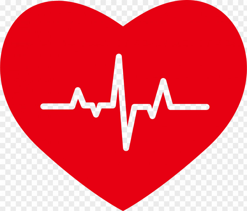 Heart Beat Rate Electrocardiography PNG