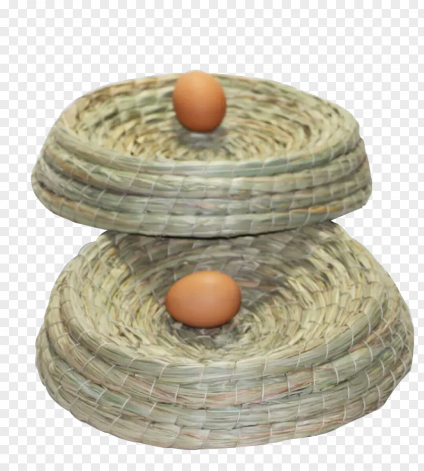 There Are Two Nest Eggs Edible Birds Bird PNG
