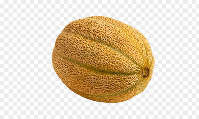 Yellow Melon Honeydew Cantaloupe Galia Frutti Di Bosco PNG
