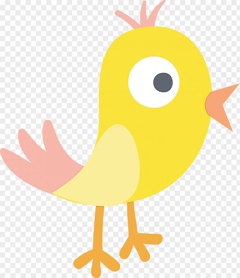 Chicken Cartoon Yellow Beak PNG