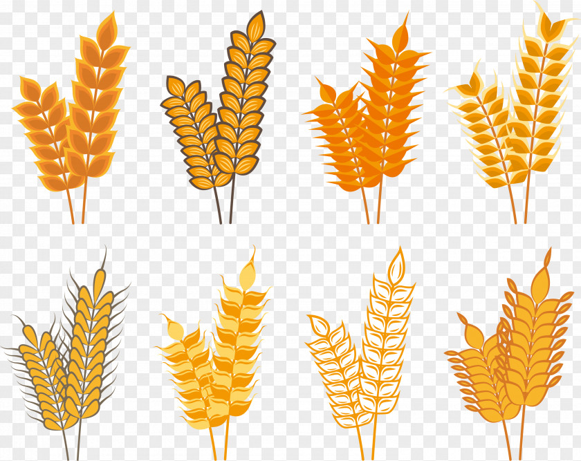 Golden Autumn Rice Icon Oat Cereal PNG