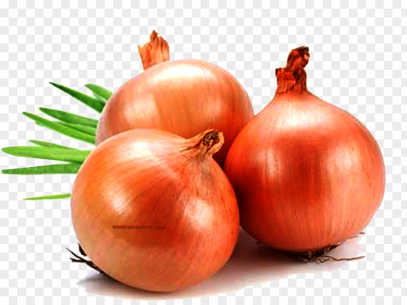 Onion Yellow Organic Food French Soup Red PNG