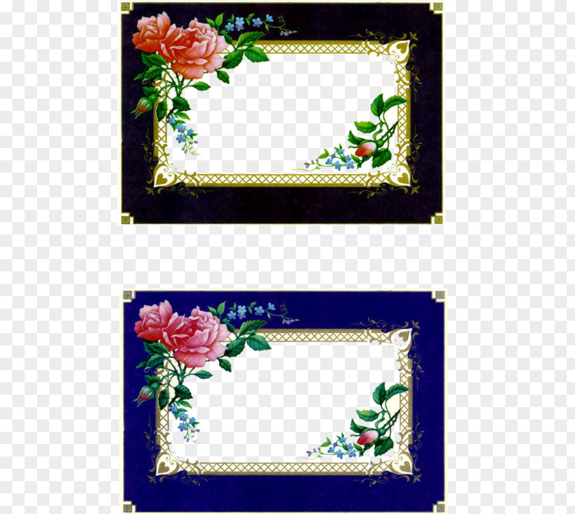 Rose Frame Scrapbooking Picture Frames Photography PNG