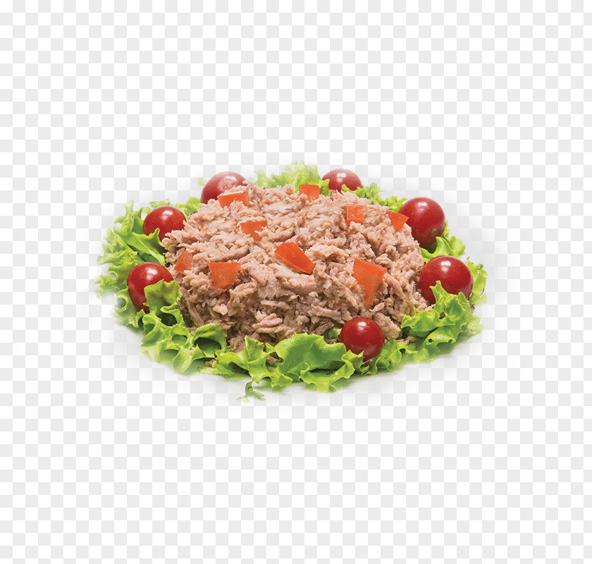 Tuna Vegetarian Cuisine Food Salad Vegetable PNG