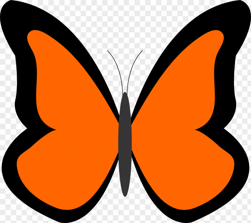Butterfly Clip Art Drawing PNG
