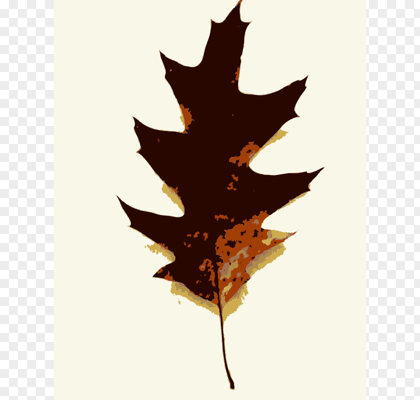 Clump Cliparts Tree Oak Leaf Clip Art PNG