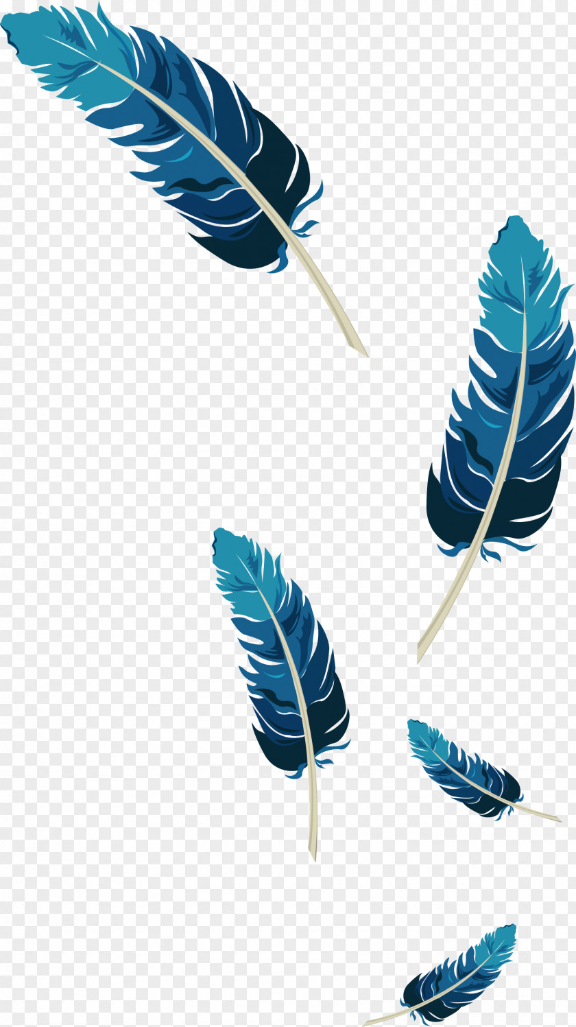 Feather Graphic Mile Hi Church Vector Graphics Image YouTube PNG