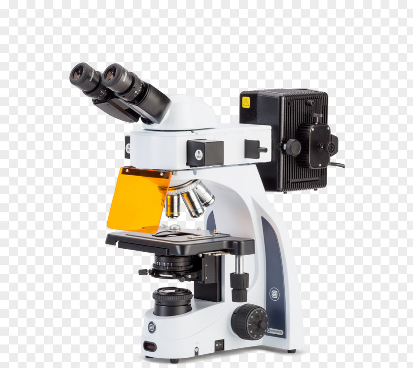Microscope Fluorescence Stereo Petrographic PNG