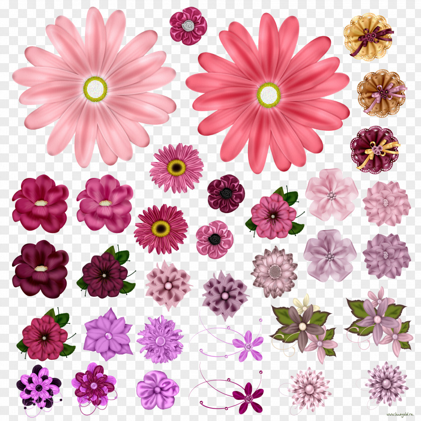 Morden Flower PNG