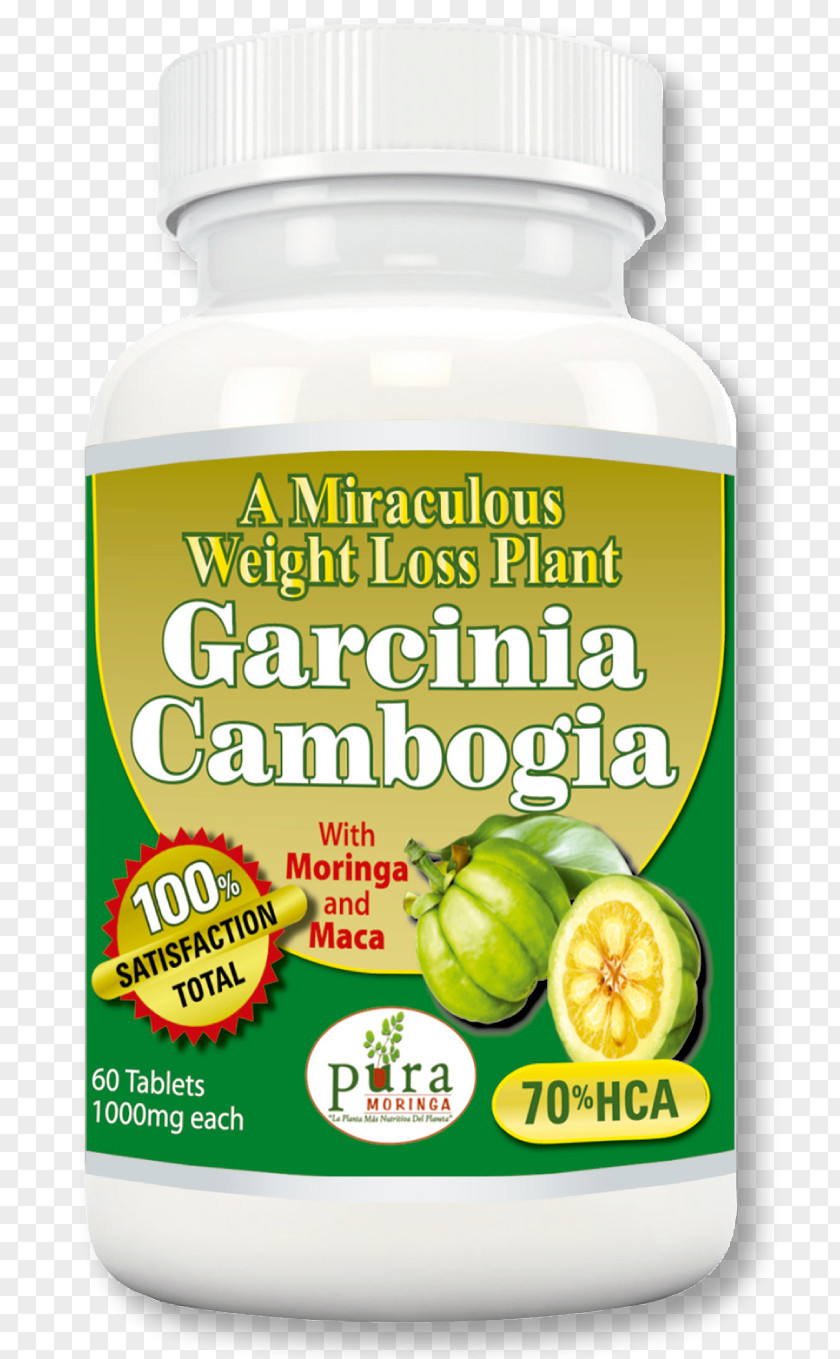 Moringa Leaves Dietary Supplement Garcinia Cambogia Drumstick Tree Food Weight Loss PNG