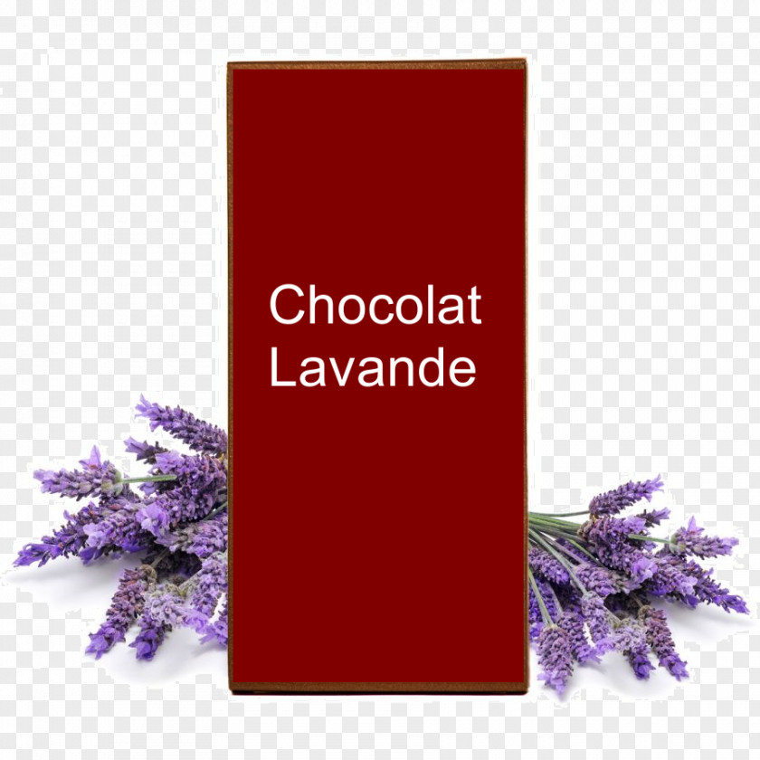 Oil Lavender Essential English Aromatherapy PNG
