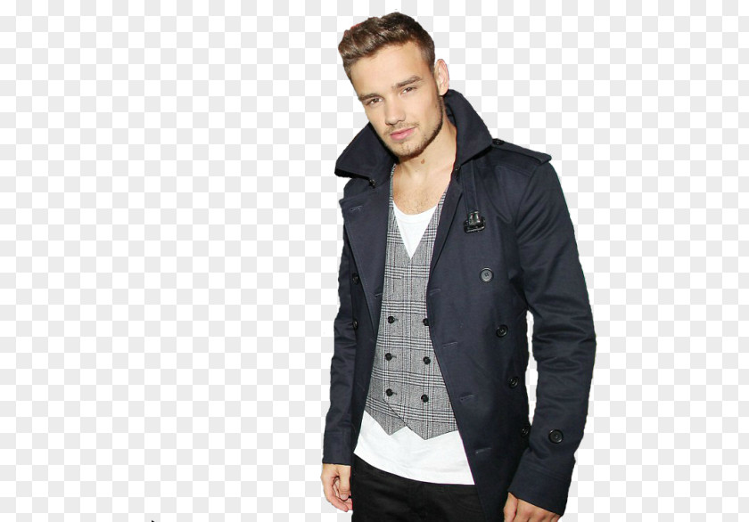 One Direction Liam Payne Fan Art PNG