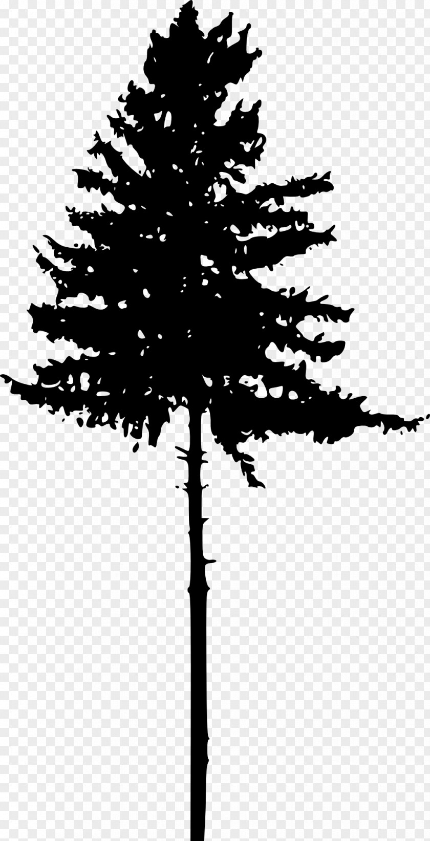 Pine Tree Silhouette Clip Art PNG