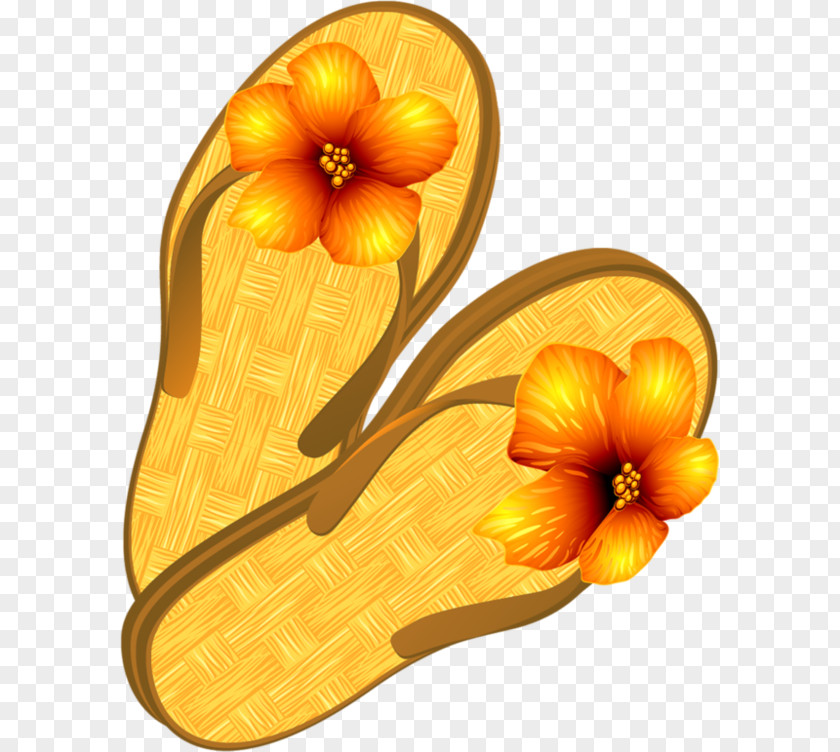 Sandal Slipper Dress Shoe Flip-flops Court PNG