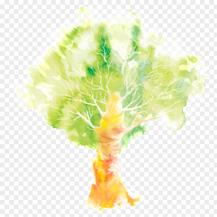 Watercolor Tree Graphic Design Painting Illustration PNG
