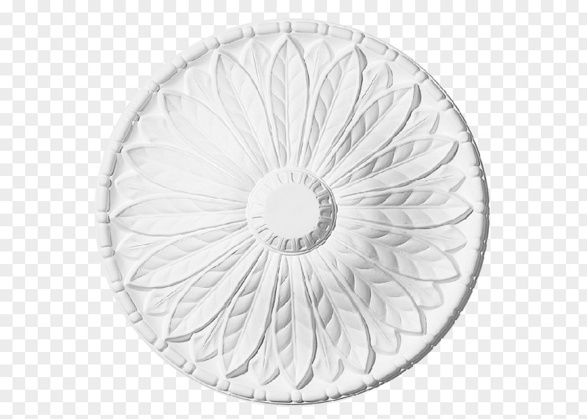 Centrepiece City Crafts Plasterers And Cornice Work Edinburgh Ceiling Rose PNG