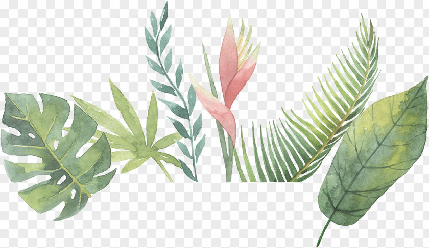Plant Abstract Art Description PNG