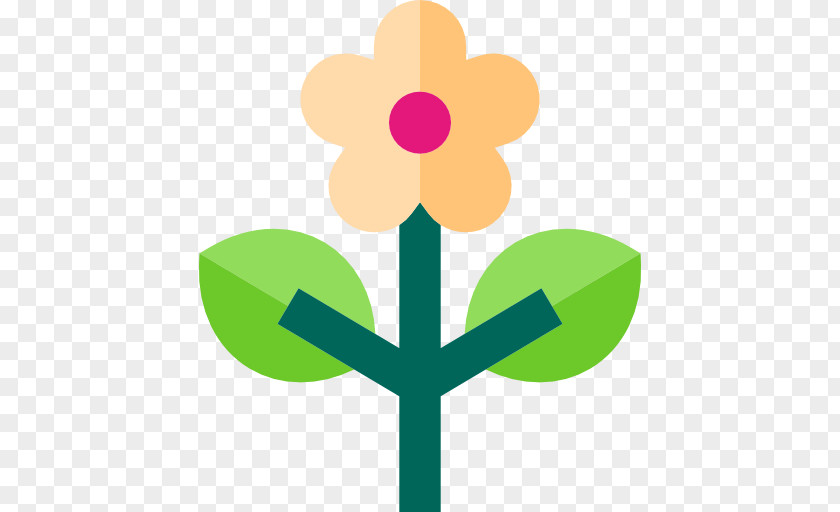 Poppy Plant Flower PNG