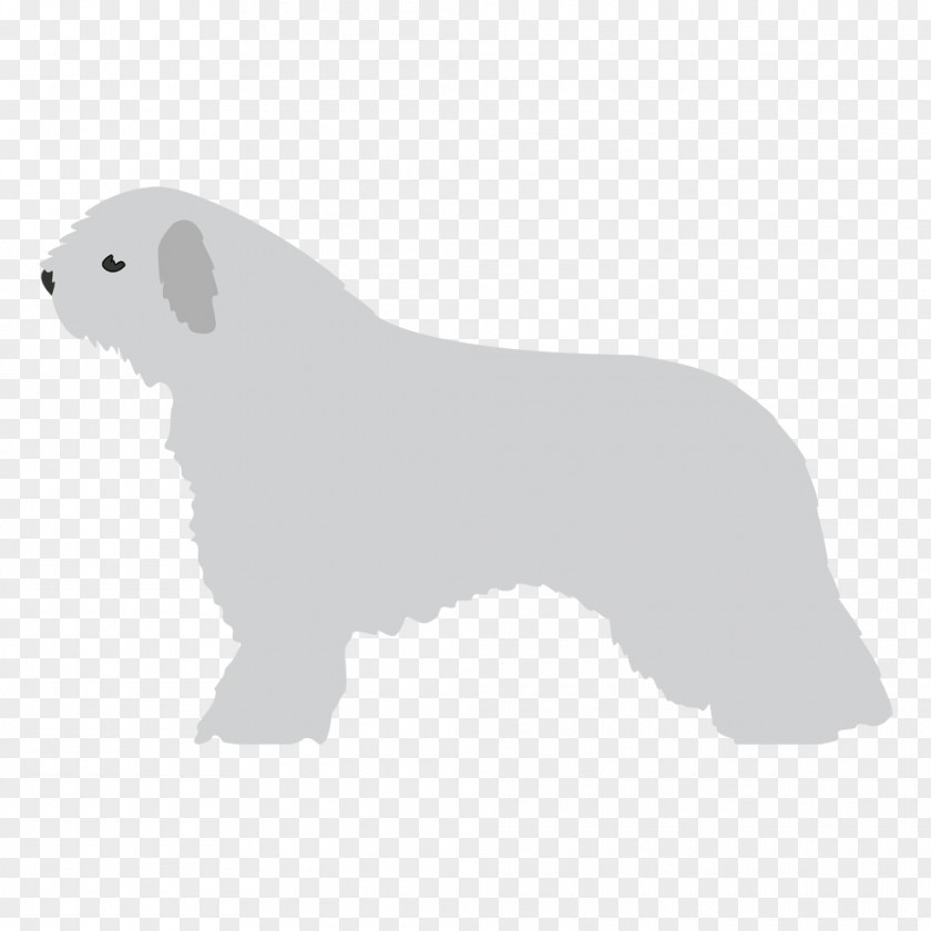 Puppy Dog Breed Snout Crossbreed PNG
