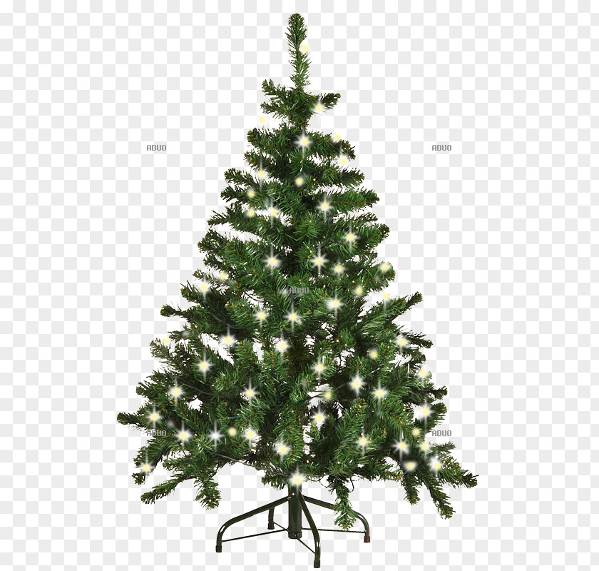 Gran Christmas Tree Spruce Ornament Fir Pine PNG