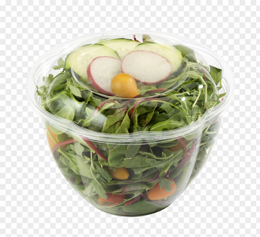 Salad-bowl Tableware Bowl Plastic Polylactic Acid Leaf Vegetable PNG