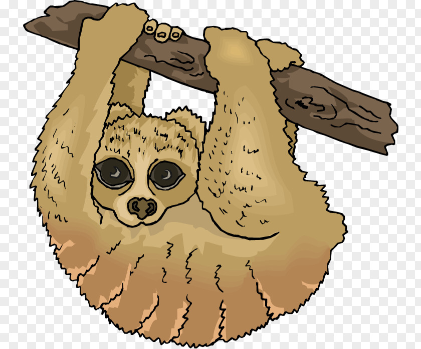 Sloth Cliparts Anteater Free Content Clip Art PNG