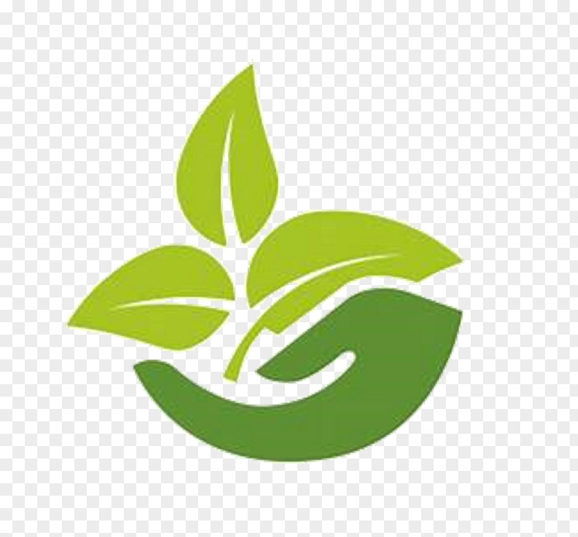 Symbol Flower Green Leaf Logo PNG