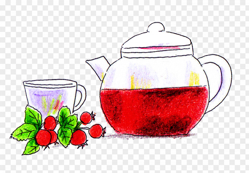 Tea Herbal Asperger Syndrome 冷え性 Attention Deficit Hyperactivity Disorder PNG