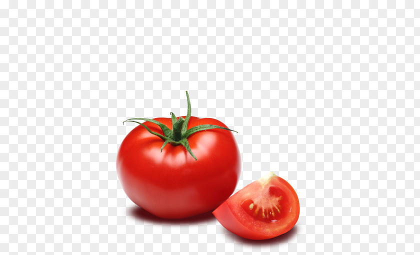 Tomatoes Tomato Clip Art PNG