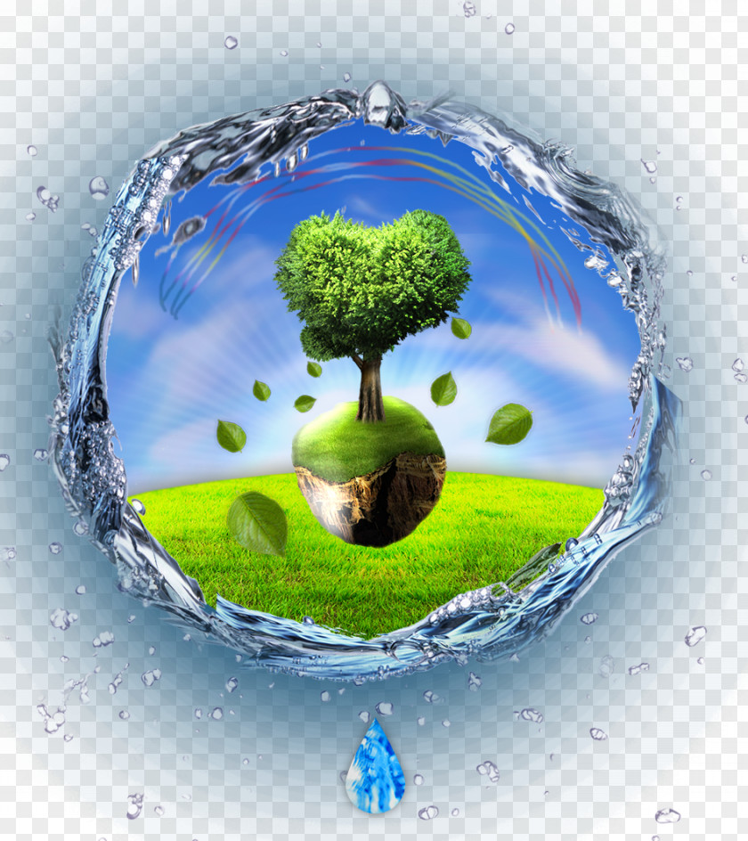 Trees In The Water Earth Tree PNG