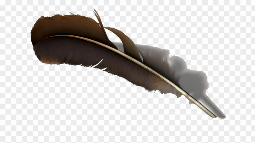 A Light Brown Feather TurboSquid 3D Computer Graphics PNG