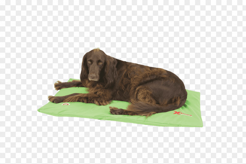 Dog Breed Duvet Green Bed PNG