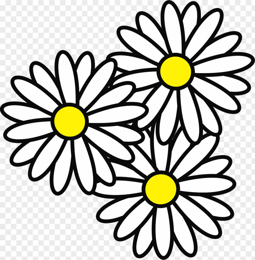 FILTRO DOS SONHOS Floral Design Nail Flower Paper PNG