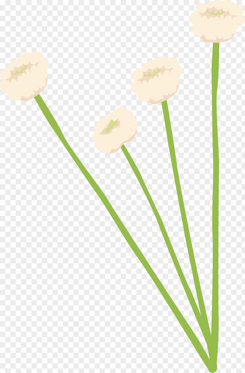 Flower Yellow Plant Stem Pedicel PNG