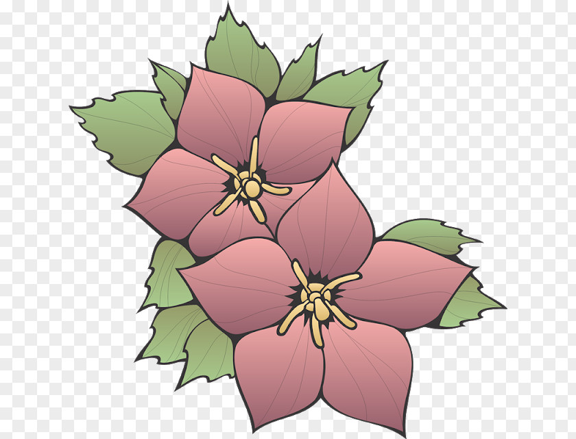 Herbaceous Plant Holly Bouquet Of Flowers Drawing PNG