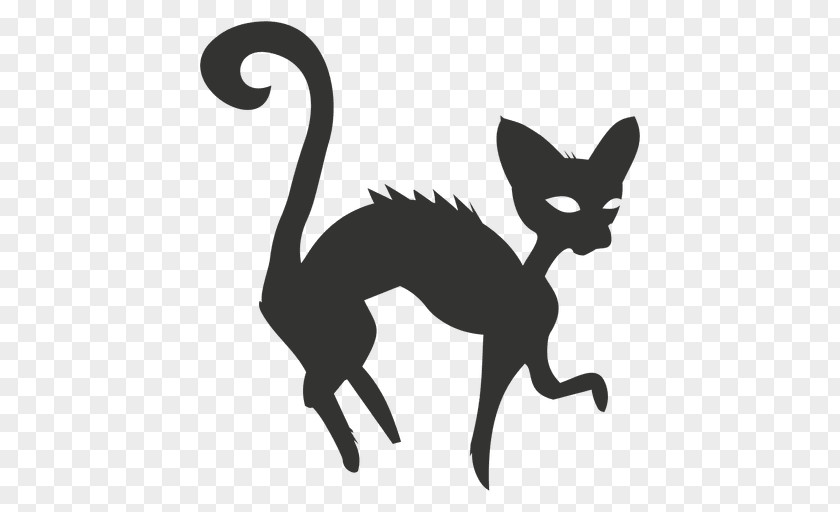 Kitten Whiskers Black Cat Silhouette PNG