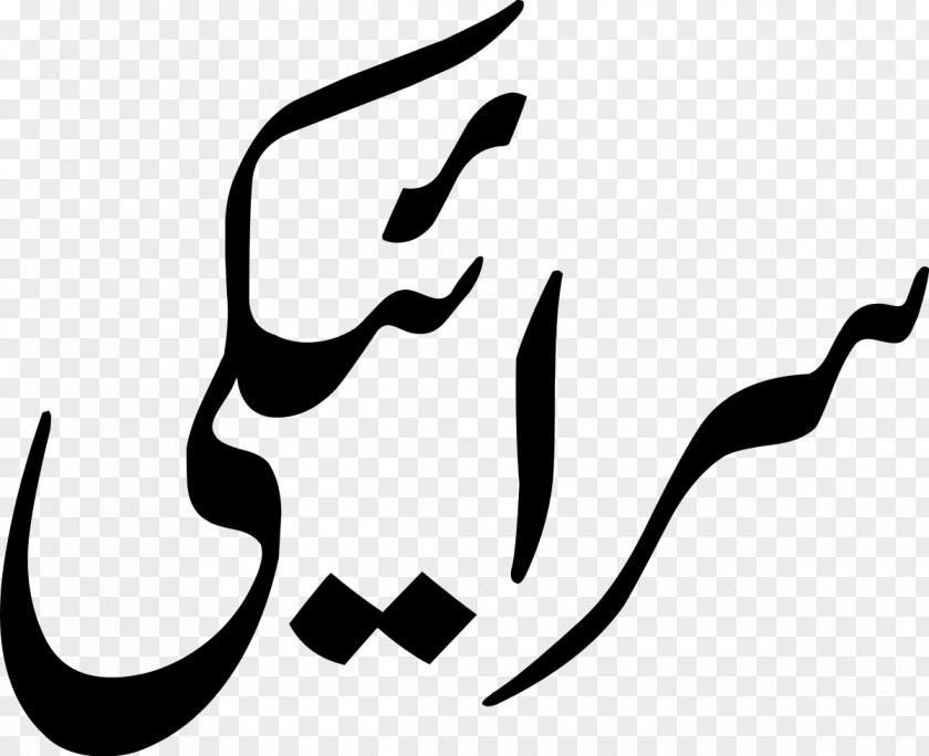 Saraiki Urdu Alphabet Punjabi Language Translation PNG
