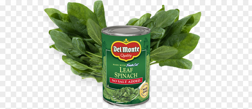 Spinach Burrito Product Herb PNG