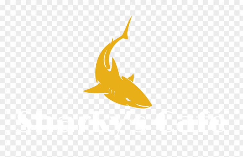 Steelers Chart Logo Font Desktop Wallpaper Computer Marine Mammal PNG
