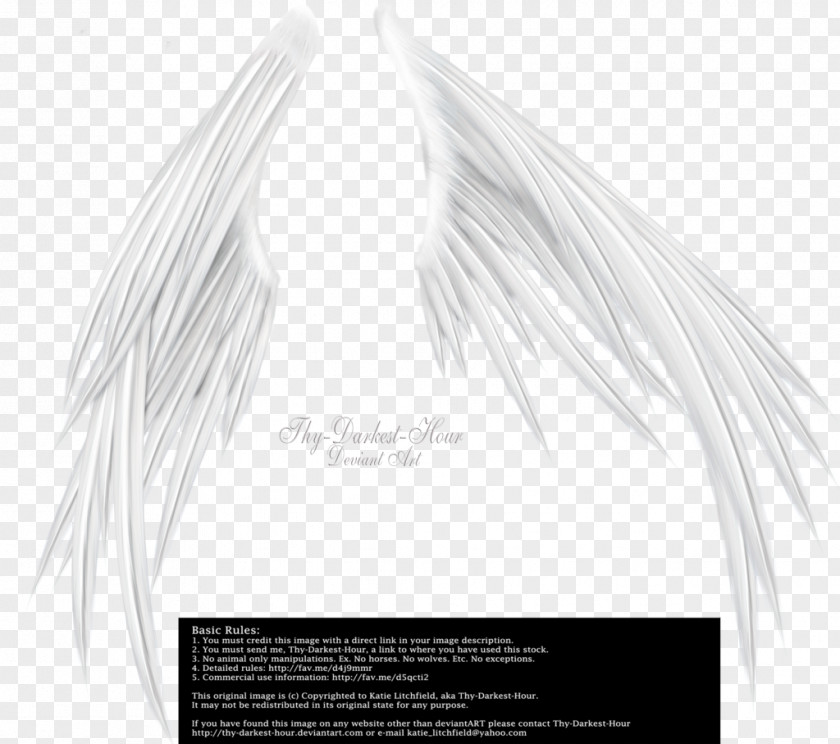 White Angel Wings DeviantArt PNG