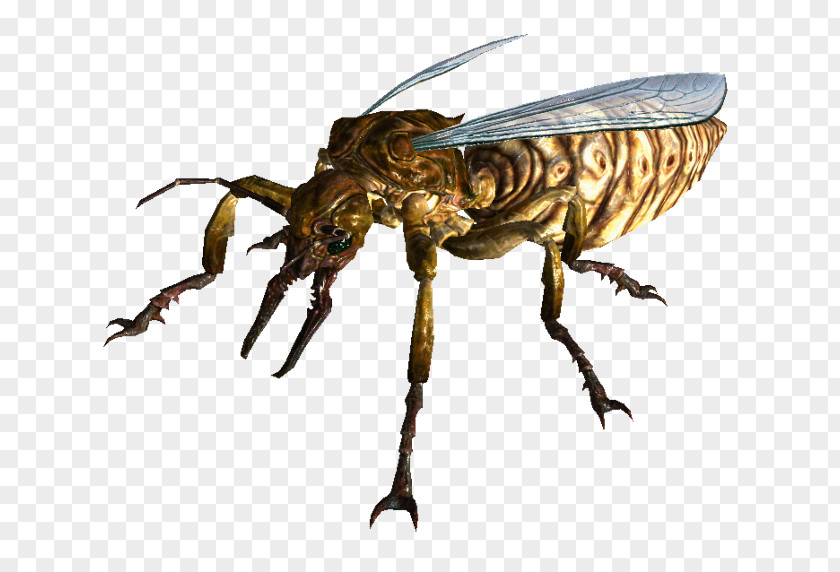 Ants Fallout 3 Fallout: New Vegas Queen Ant Fire PNG