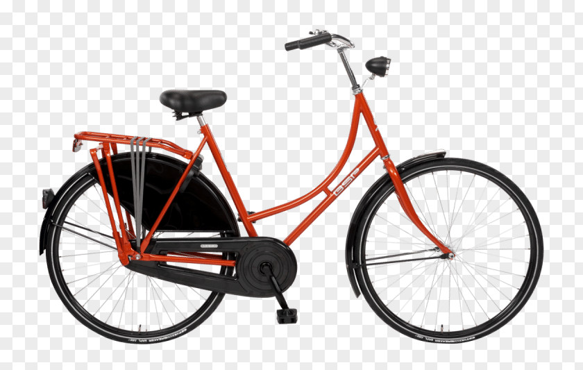 Bicycle BSP Roadster Electric Netherlands PNG