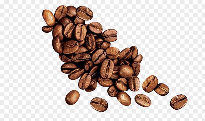 Coffee Beans Instant Tea Cafe PNG