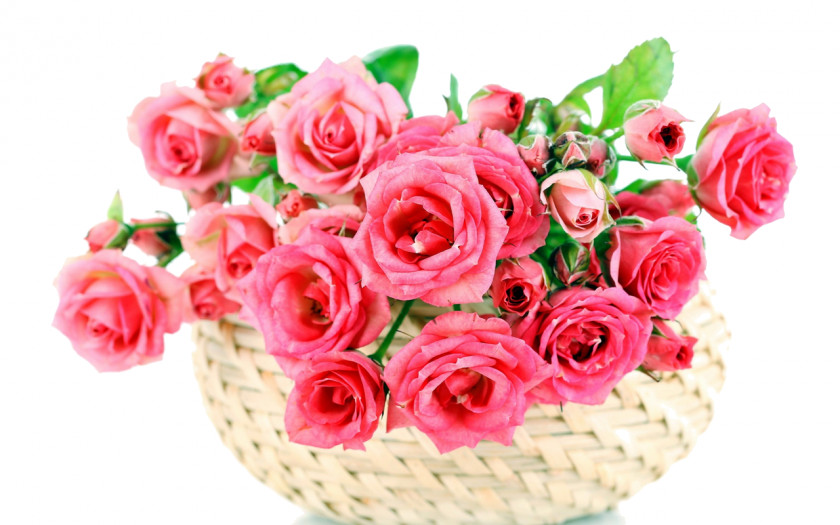 Flower Garden Roses Bouquet Pink PNG