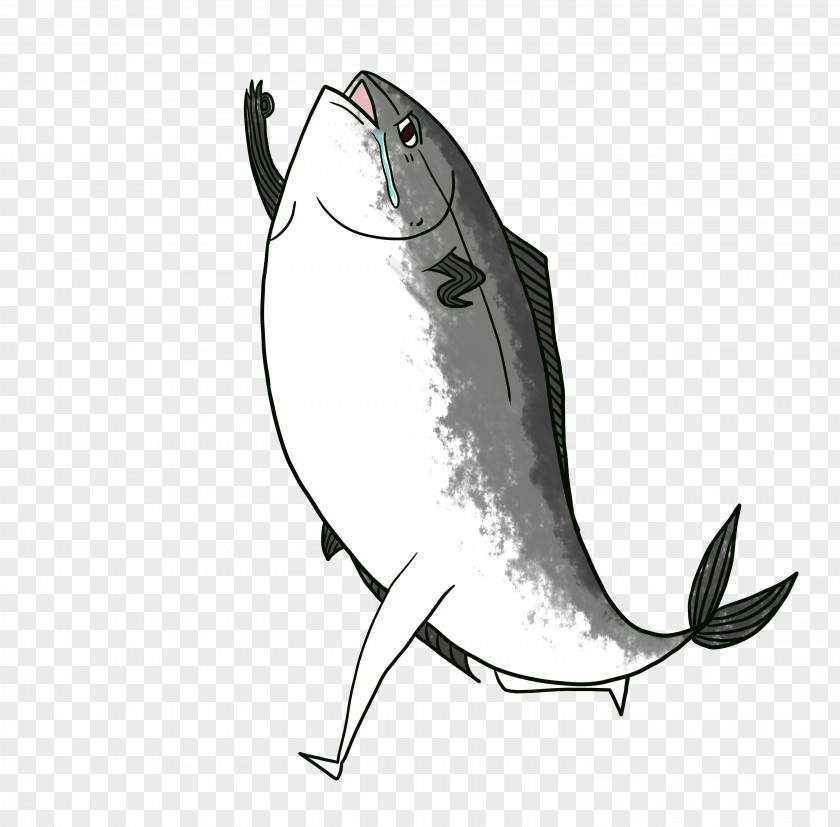Foolish Illustration Marine Mammal Fish PNG