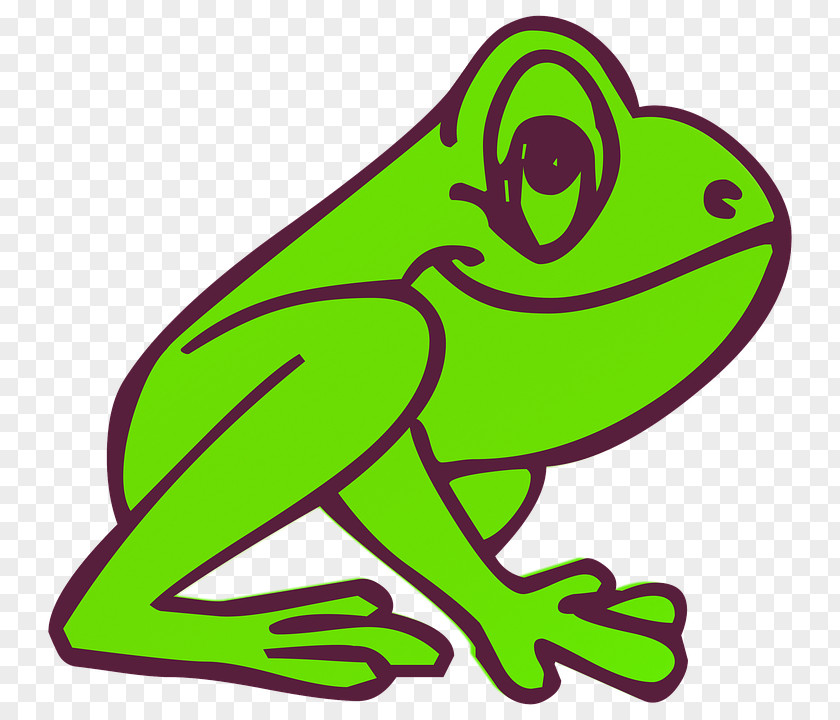 Frog Tree Coloring Book Kermit The And Toad PNG