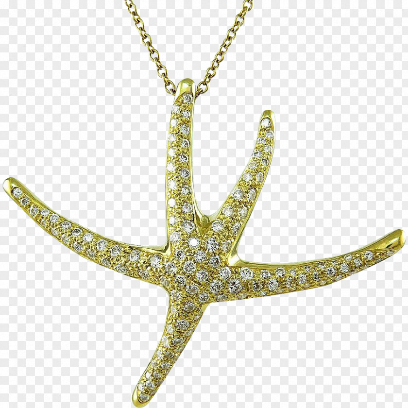 Starfish Body Jewellery Charms & Pendants Necklace PNG