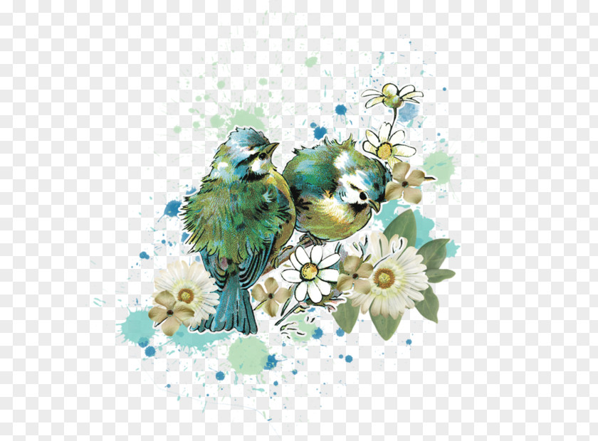Watercolor Birds PNG