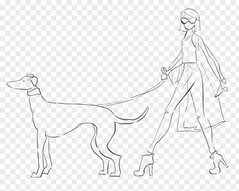 Adorable Button Dog Breed Sketch Human Drawing PNG